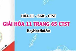 Giải Hóa 11 trang 65 SGK Chân trời sáng tạo
